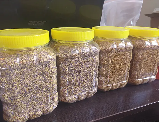 پخش عمده گرده گل