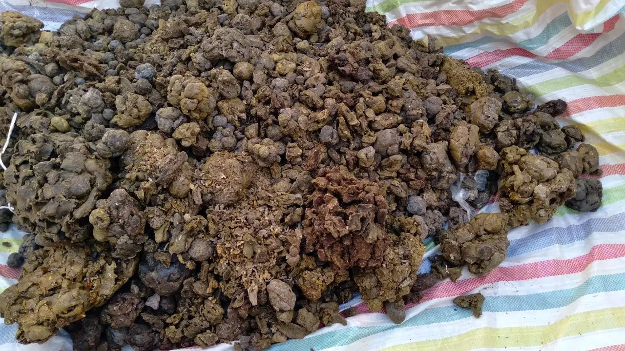 موم و ارسال به ترکیه