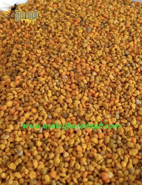 فروش گرده گل درجه یک