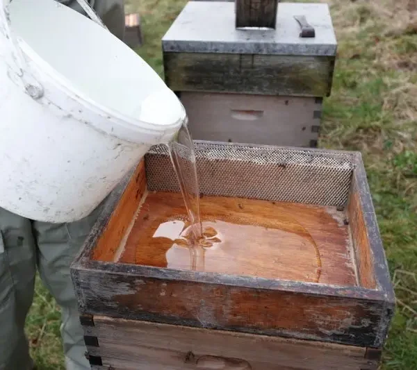 باکیفیت ترین عسل