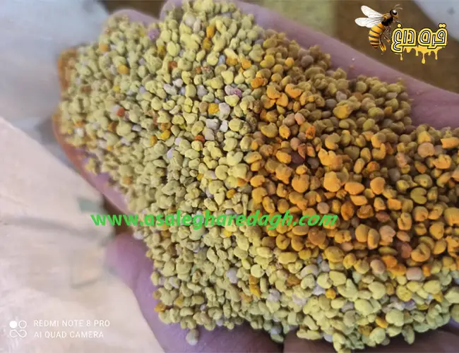 فروش گرده گل درجه یک