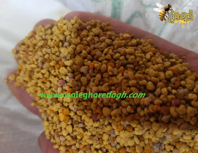 فروش گرده گل درجه یک