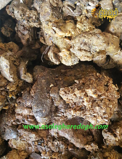 خریدار همیشگی بره موم