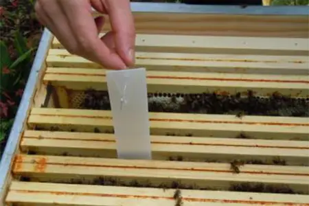 فروش انواع نوار کنه