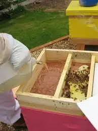 خرید مکمل و تقویتی بیاگرا