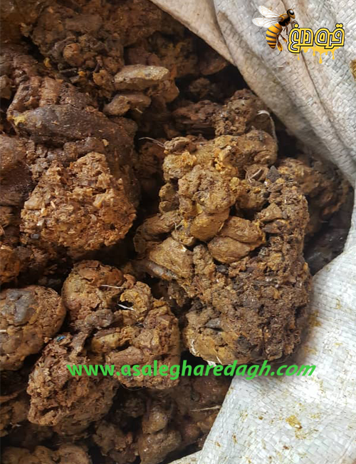 خریدار همیشگی بره موم