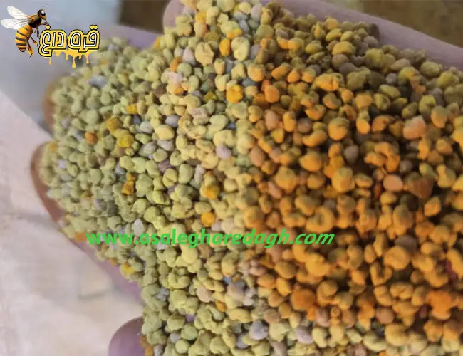 خرید گرده گل ارزان