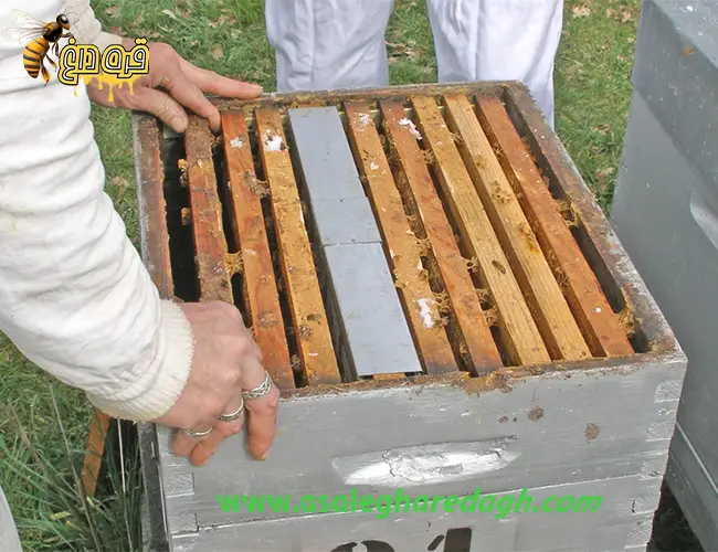 جهت تولید ژل رویال