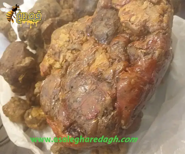 زنبوردار بره موم