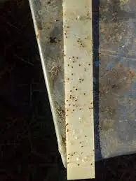 نوار ضد کنه در ایران