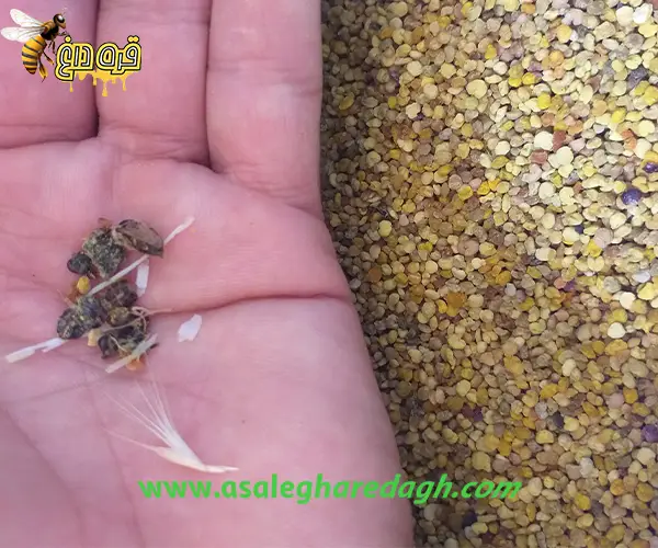 فروش گرده گل خاص عمده