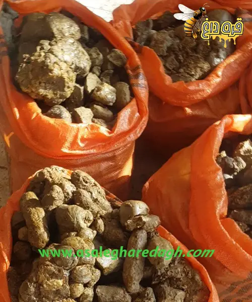 قیمت بره موم جهت صادرات