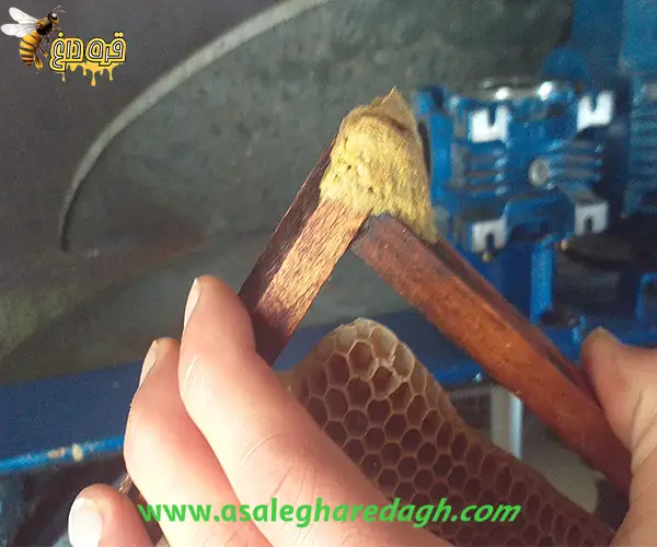 بره موم زنبور