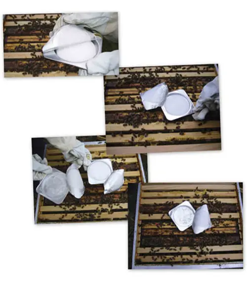 ژل آپی گارد اصل