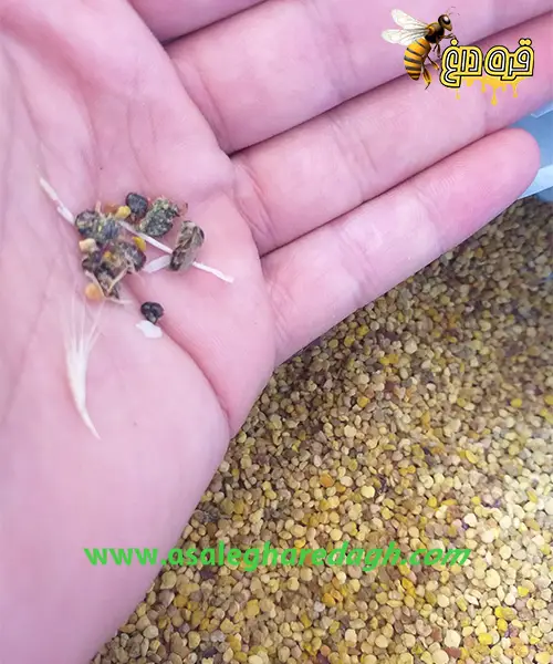 خرید گرده گل معطر