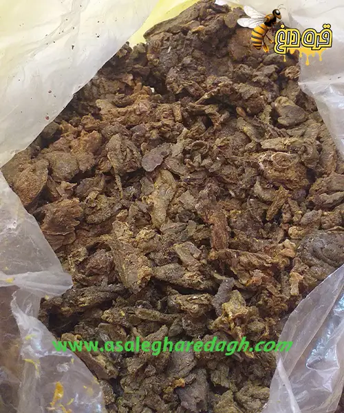 قیمت بره موم جهت صادرات