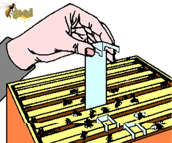 خرید آپی تاند