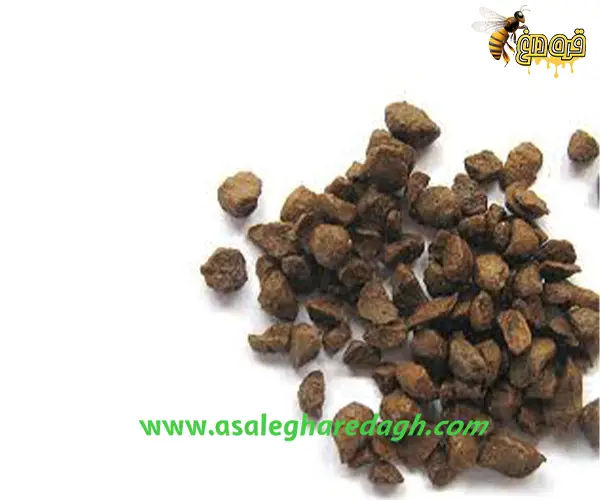 قیمت بره موم جهت صادرات