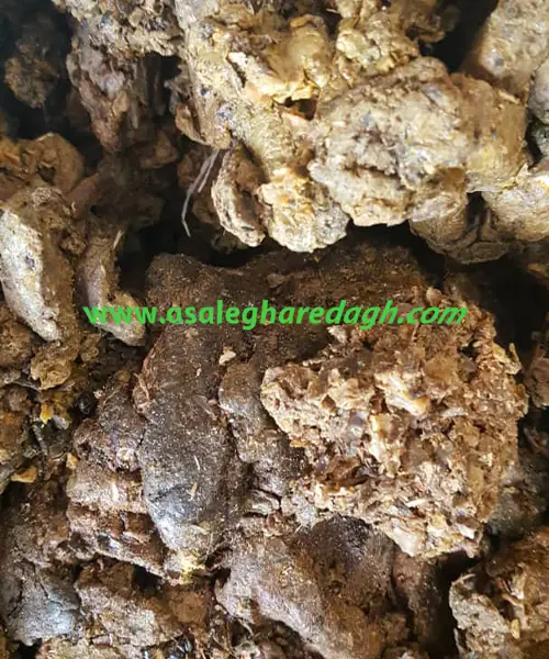 فروش بره موم زنبور