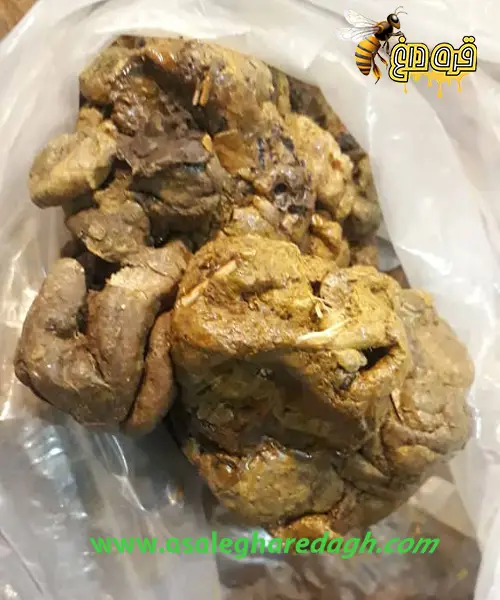 خرید گرانترین برهموم