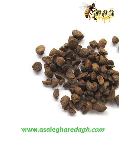 خرید گرانترین برهموم