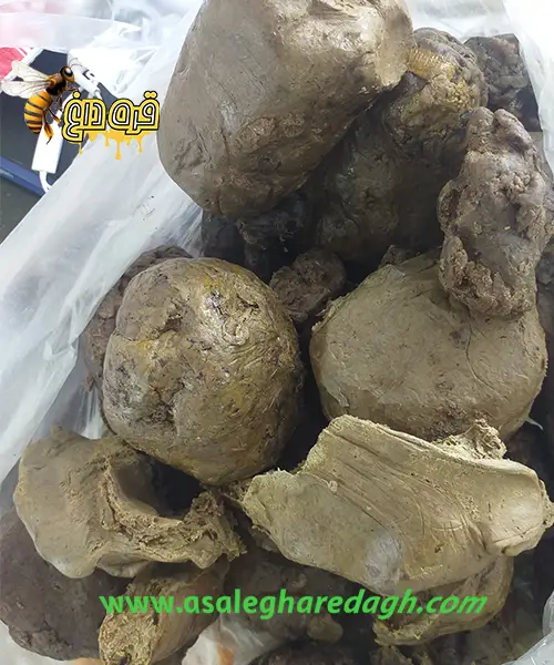 خرید گرانترین برهموم