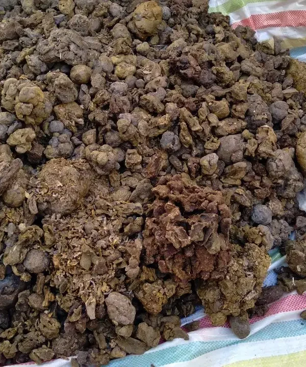 موم و ارسال به ترکیه