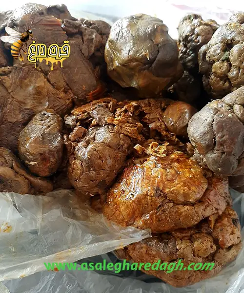 خرید گرانترین برهموم