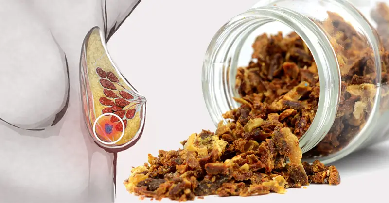 خرید گرانترین برهموم