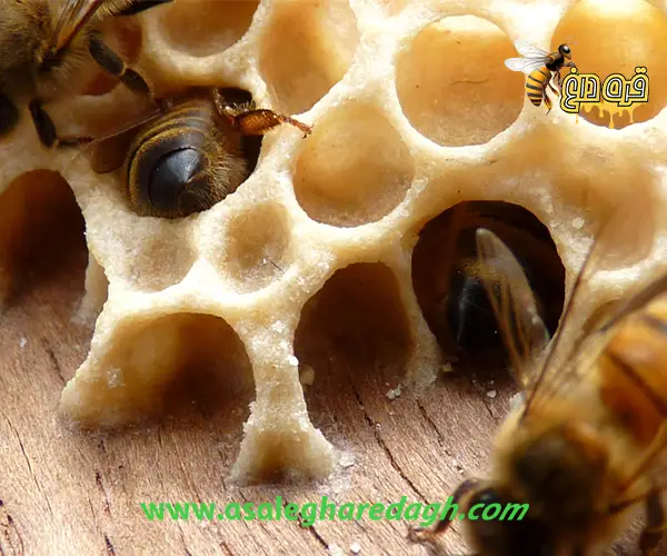 خرید موم زنبور خالص