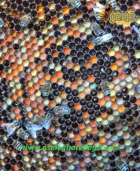 خرید گرده گل فله