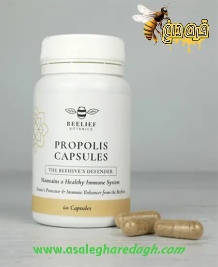 خرید عمده بره موم