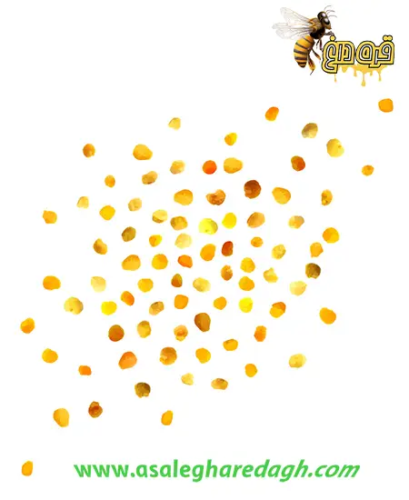 گرانترین گرده گل