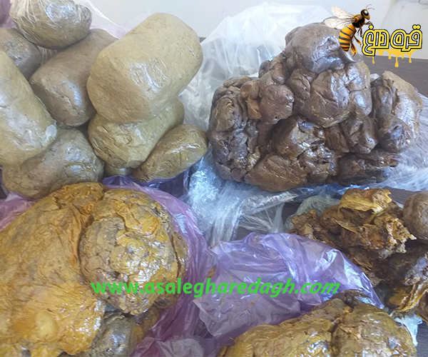 پیش خرید بره موم