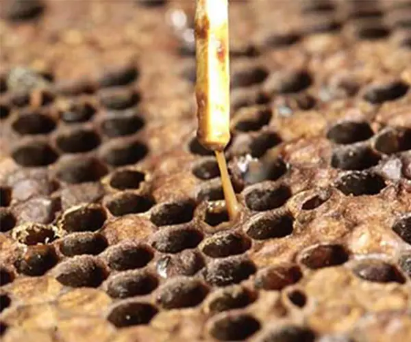 خرید داروی ضد لوک