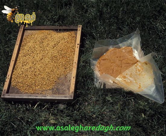 ارزانترین گرده گل 