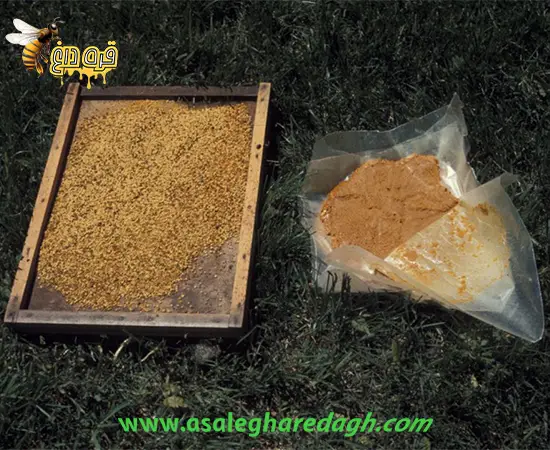 ارزانترین گرده گل