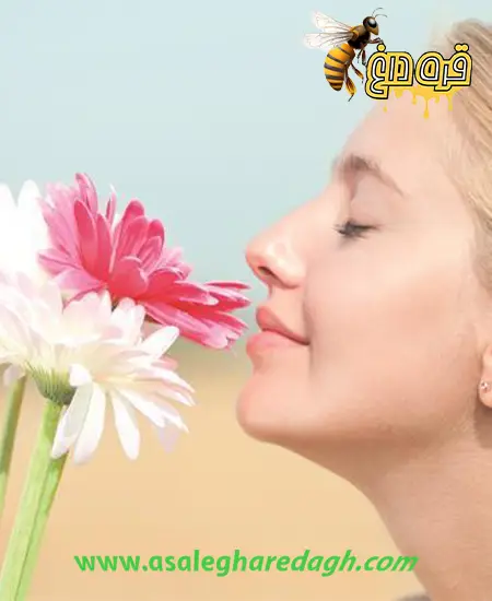 خرید اینترنتی گرده گل