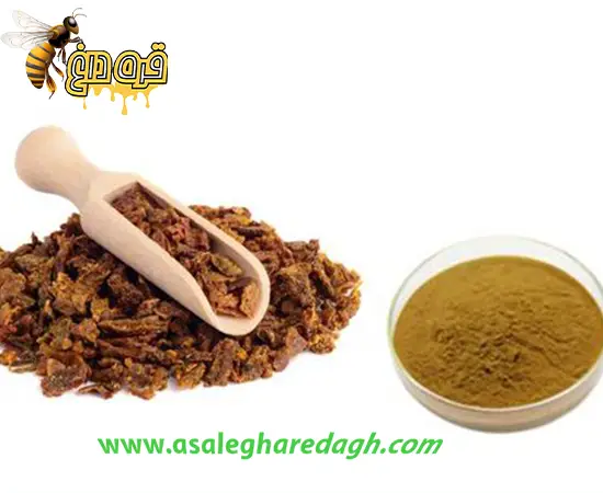 خرید عمده بره موم