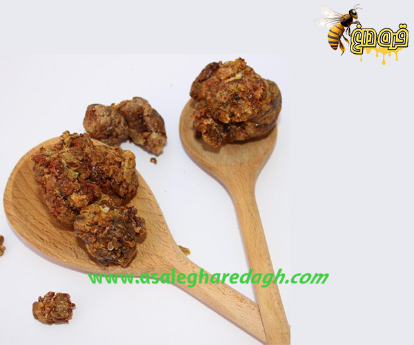 پیش خرید بره موم