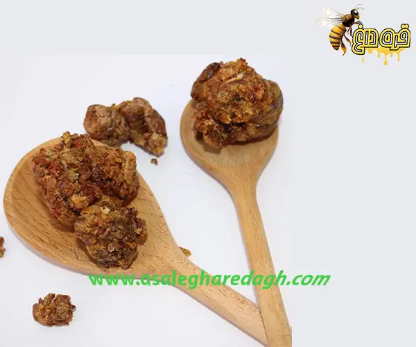 پیش خرید بره موم