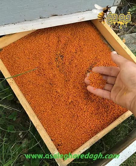 پیش فروش گرده گل