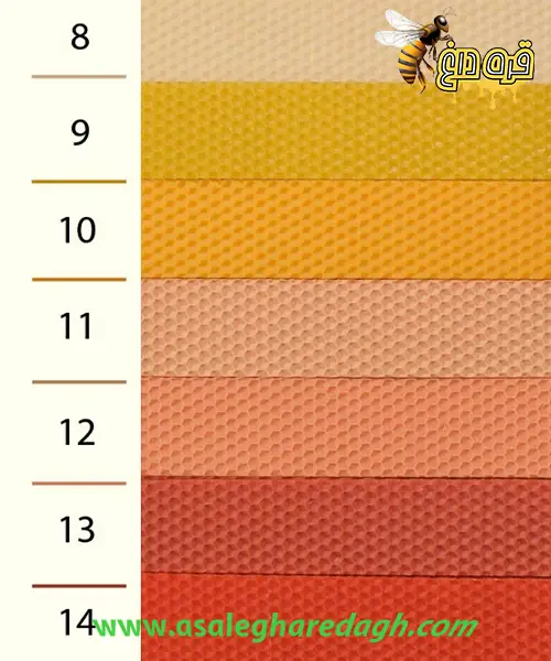 بزرگترین تولید کننده موم