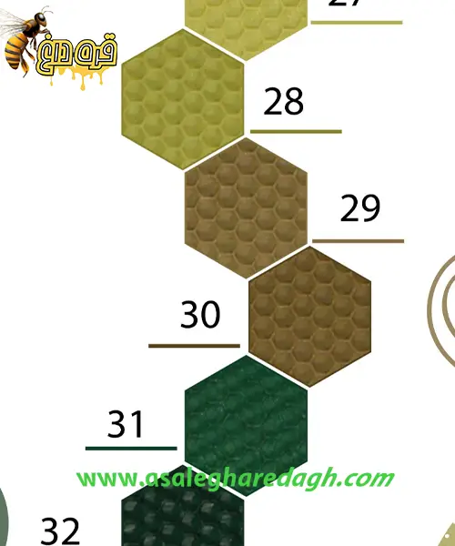 بزرگترین تولید کننده موم