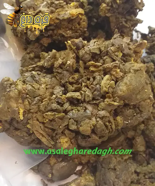 خرید بره موم تازه