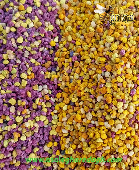 گرانترین گرده گل