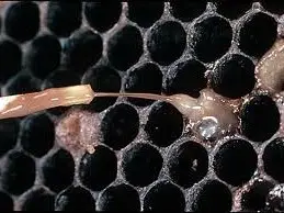 خرید داروی ضد لوک