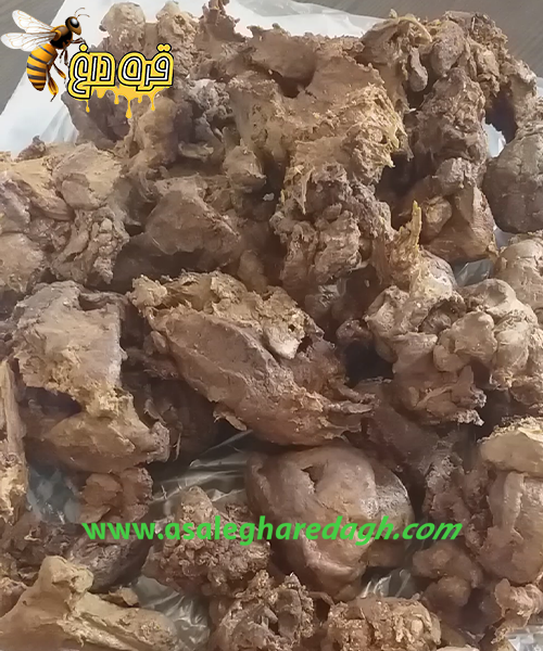پیش خرید بره موم