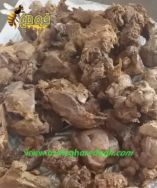 پیش خرید بره موم