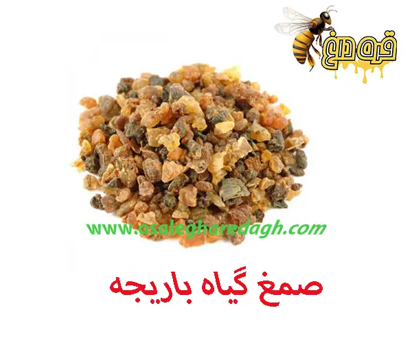 خرید بره موم تازه